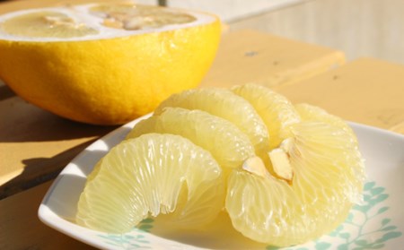 宿毛産文旦 10kg 家庭用 文旦