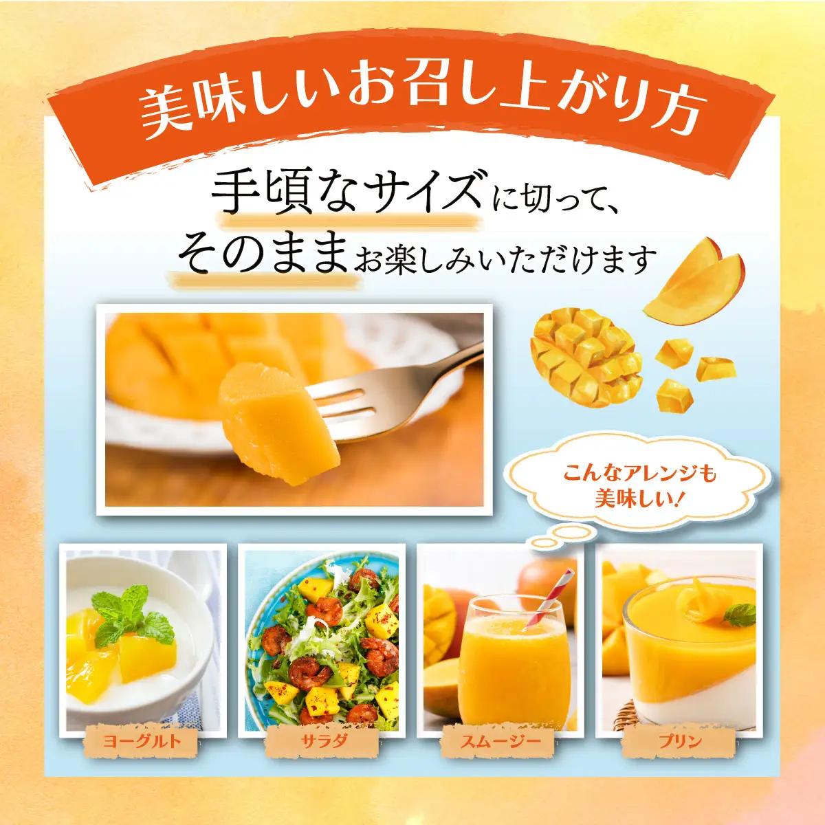  【生産者直送】濃厚完熟!まっちゃんマンゴー（大きめ4L×2玉）【2026年5月中旬頃から6月初旬発送】 C-36