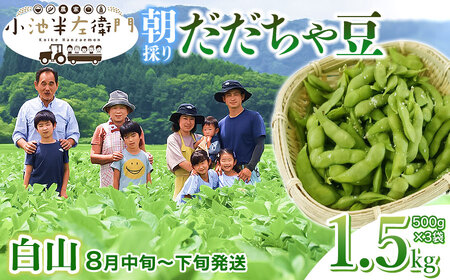 【令和8年産先行予約】朝採りだだちゃ豆 【白山】1.5kg (500g×3袋) 枝豆　小池半左衛門