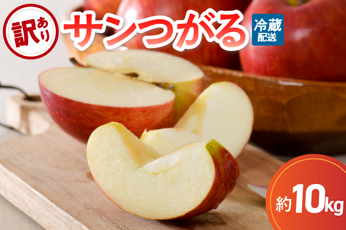 【2026年9月発送】 【訳あり】りんご サンつがる 約10kg 青森産 【クール便】
