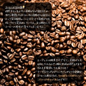 ドリップバッグコーヒー 10種 100個 | ドリップパック ドリップバック コーヒー 珈琲 八ヶ岳珈琲工房テーブルランド 信州 長野県富士見町