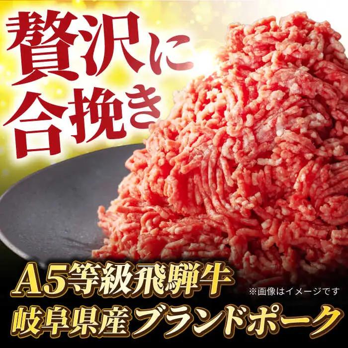 飛騨牛入りハンバーグ6個 飛騨牛【マルゴー】 [MBE071]