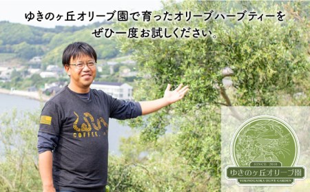 【全3回定期便】 オリーブ ハーブティー  40個（8個入×5袋）長与町/ゆきのヶ丘オリーブ園 [EAV002]  ハーブティー オリーブティー ティーバッグ