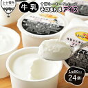 十勝もーもースイーツ 牛乳そのまんまアイス 80ml×27個