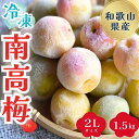 【ふるさと納税】紀美野町産 冷凍南高梅 2Lサイズ1.5キロ　1.5kg(500g×3袋) / 梅 冷凍 南高梅 梅ジャム 梅酒 梅シロップ 大粒