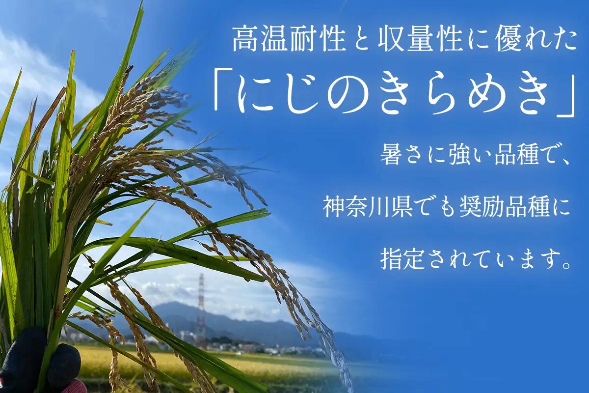新米 [定期便／6ヶ月連続][令和8年産／11月上旬より順次発送] 伊勢原産 精米10kg (5kg×2袋) にじのきらめき 農家直送！加藤さんちのうんめぇ！自家製米 [1148]