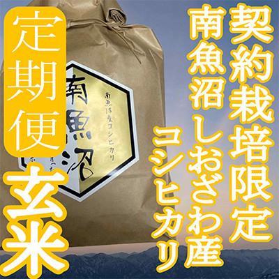 ふるさと納税 南魚沼市 【発送月固定定期便】※玄米8Kg※生産者限定　南魚沼しおざわ産コシヒカリ全3回