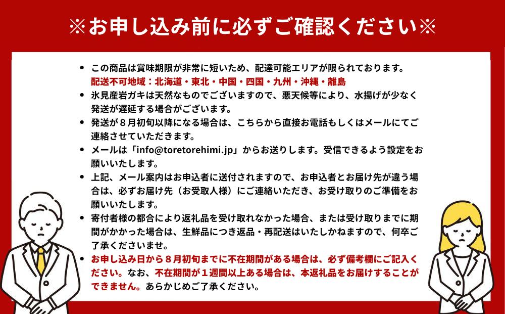 【夏限定】 氷見産 天然岩ガキ 3個 〈冷蔵〉