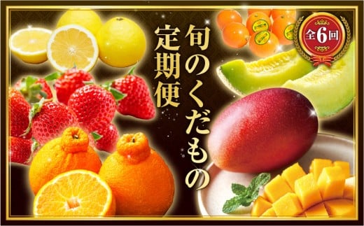 《2026年発送先行予約》【数量・期間限定】旬のくだもの定期便【全6回】_Ｍ153-T040