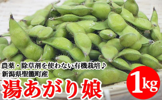 
有機枝豆（湯あがり娘）1kg【傳九郎農園】
