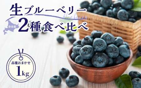 【先行予約：2025年7月25日以降発送】青果ブルーベリーおまかせ２品種食べ比べセット1Kg（500g×2パック）＜アイケイファーム余市＞ 余市のブルーベリー 生ブルーベリー 北海道産ブルーベリー 余市町産ブルーベリー _Y111-0004