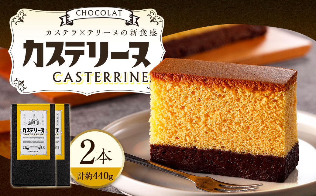 長崎カステリーヌ・ショコラ 2個 セット  ／ 約220g × 2 スイーツ デザート カステラ おかし 菓子 おやつ チョコレート ショコラ テリーヌ ご当地スイーツ かすてら テリーヌ 長崎県 長崎市