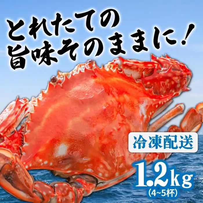 【2027年7月-発送】【訳あり】数量限定 有明海のワタリガニ 約1.2kg（4～5匹） / かに ボイル カニ爪 渡り蟹 / 南島原市 / 長栄丸水産[SFM001] [SFM001] ワタリガニ