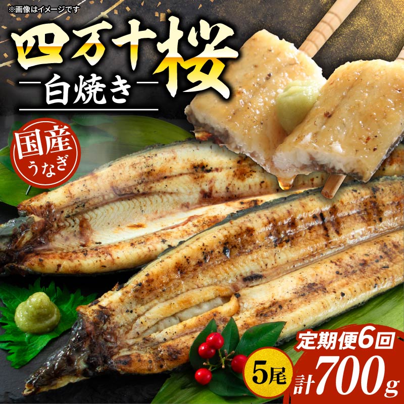 【ふるさと納税】 【通常用】【6回定期便】極上国産うなぎ四万十桜 蒲焼き約140g×5尾 | うなぎ 鰻 ウナギ 白焼き 定期便 国産 四万十鰻 蒲焼き 調理済み タレ付き 頒布会 ギフト（お歳暮/お正月）高級 お取り寄せ グルメ 食べ比べ 冷凍