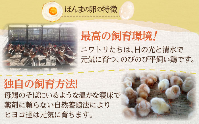 【全3回定期便】平飼いニワトリの有精卵！ほんまの卵定期便 計60個（20個×3回） / たまご 卵 平飼い / 佐賀県 / 本間農園 [41AJAA019]