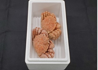 エゾバフンウニ140g×1折、毛ガニ300g前後～400g前後×2尾[11月下旬以降発送] E-40021