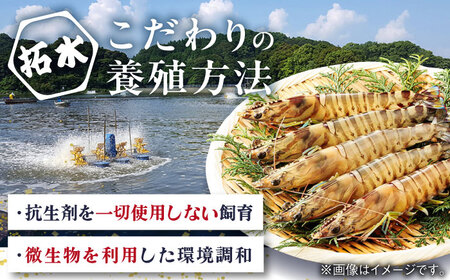 車海老みそ漬 計450g（車海老250g、味噌200g） / 佐賀県 / 株式会社 拓水 伊万里クルマエビセンター [41AEAJ003]