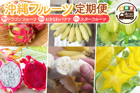 【2026年9月より順次発送】【3回定期便】沖縄フルーツ定期便（9・10・11月コース）｜フルーツ くだもの 果物 スターフルーツ ドラゴンフルーツ バナナ 名護パイン園 定期便 フルーツ定期便 沖縄フルーツ 先行予約 おきなわ 沖縄県 豊見城市(AC018)