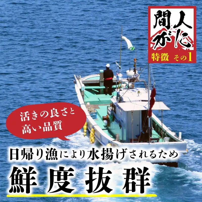 （訳あり）茹で間人がに 2匹 Aセット　11/10～11/21発送予定　ボイル松葉ガニ・ズワイガニ・ゆで松葉ガニ・松葉蟹・山陰・ボイルガニ・ズワイガニ・タグ付き・ブランド蟹
