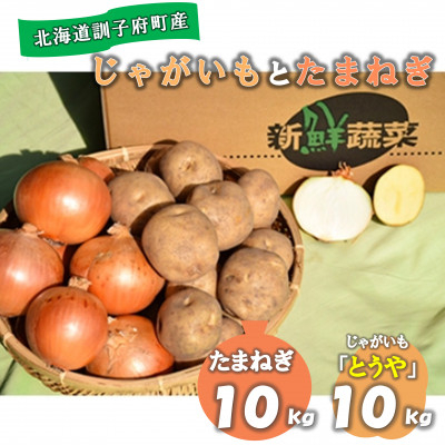 
            佐藤農場のじゃがいも「とうや」10kgと玉葱10kgセット【1097719】
          