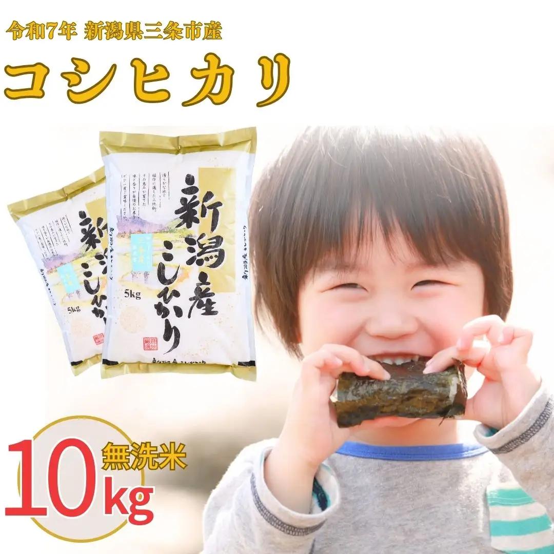 新潟県産 コシヒカリ 10kg 無洗米 令和7年 三条市 コシヒカリ 白熊