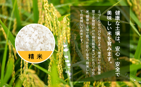 米 定期便3ヶ月 コシヒカリ精米5kg×3回【ADATARAふぁーむ】