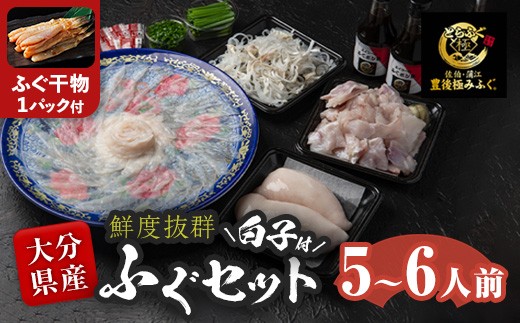 ＜着日指定必須＞ 白子付き とらふぐ セット (5-6人前) 冷蔵 とらふぐ ふぐ ふぐ刺し ふぐ刺身 刺身 ふぐ鍋 白子 皮 ひれ 唐揚げ ヒレ酒 お取り寄せ 鮮魚 養殖 国産 大分県 佐伯市【DK07】【エイコー水産】
