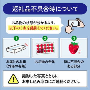 【先行予約】 やよい姫 約1.2kg 300g×4パック いちご 完熟 苺 産地 直送 フレッシュ イチゴ 贈答 フルーツ 果物 国産 静岡 発送期間: 2025年1月～2025年3月 （おすすめいち