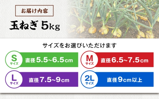 玉ねぎ たまねぎ タマネギ 玉葱 オニオン 旬 野菜 甘い 旨味 オニオンスープ カレー 滋賀県 長浜市 人気 おすすめ
