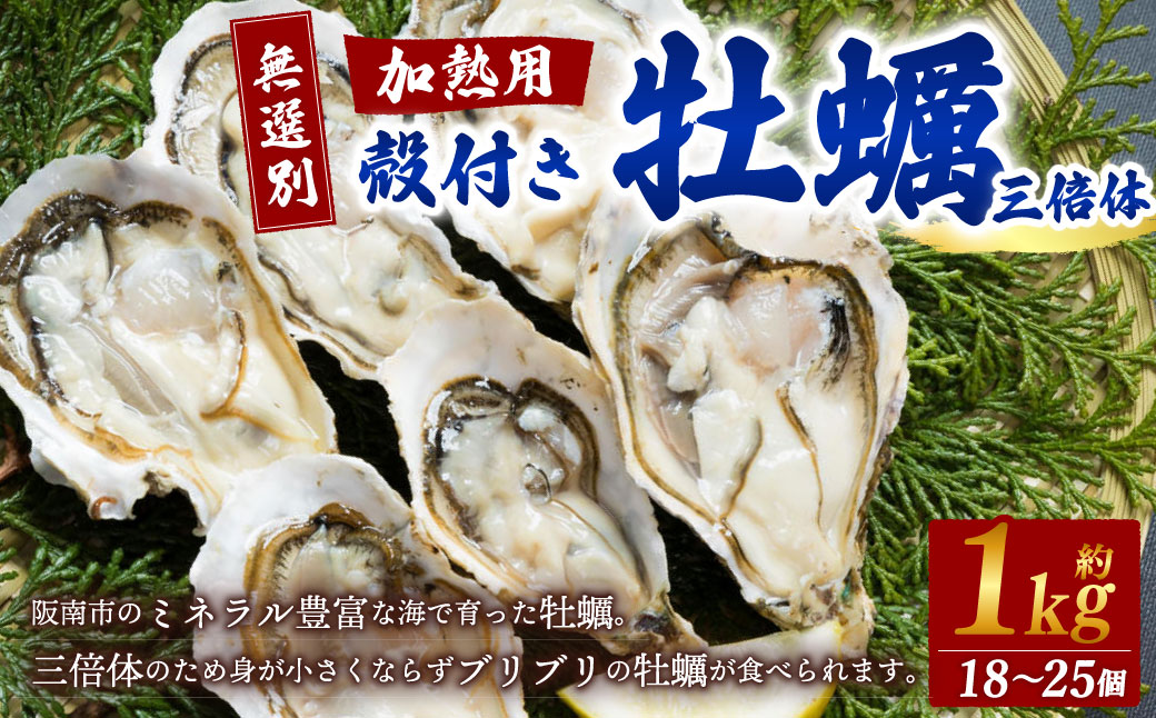 【無選別】加熱用 殻付き牡蠣 約1kg（18～25個）三倍体