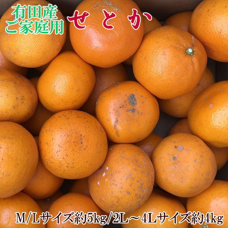 【ふるさと納税】(訳あり・ご家庭用)一度は食べていただきたい「有田産のせとか」約4kg～5kg★2026年2月中旬頃より順次発送［TM210］