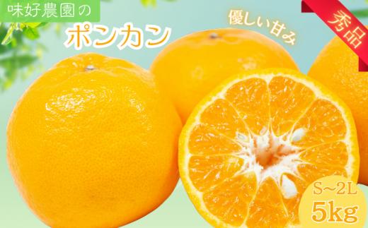 【先行予約】秀品 ポンカン 5kg 【S~2Lのサイズおまかせ】【2025年1月下旬から2025年2月中旬頃に順次発送】＜味好農園＞/ ぽんかん 蜜柑 みかん 柑橘 果物 フルーツ 【agy009】