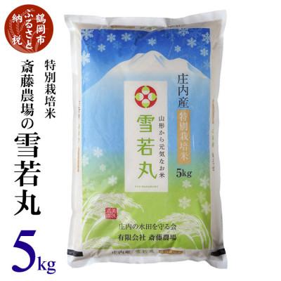 ふるさと納税 鶴岡市 【令和7年産】斎藤農場の特別栽培米雪若丸(精米)5kg　[K-756]