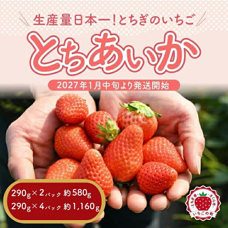 【ふるさと納税】＼選べる内容量／《数量限定》【先行予約】いちご 厳選！さくら市産 とちあいか 290g×2パック・290g×4パック 苺 イチゴ デザート フルーツ スイーツ 栃木県 果物 くだもの新鮮 大粒 ※2027年1月～発送