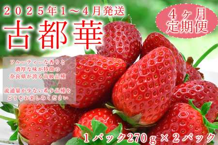 【4か月定期便】奈良県の高級イチゴ「古都華」1月-4月 /  古都華いちご古都華いちご古都華いちご古都華いちご古都華いちご古都華いちご古都華いちご古都華いちご古都華いちご古都華いちご古都華いちご古都華いちご古都華いちご古都華いちご古都華いちご古都華いちご古都華いちご古都華いちご古都華いちご古都華いちご古都華いちご古都華いちご古都華いちご古都華いちご古都華いちご古都華いちご古都華いちご古都華いちご古都華いちご古都華いちご古都華いちご古都華いちご古都華いちご古都華いちご古都華いちご古都華いちご古都華いちご古都華