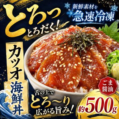 ふるさと納税 和水町 ごま醤油 海鮮丼 カツオ 約500g(和水町)