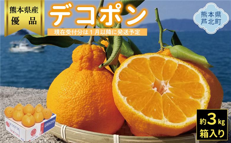 B26-16ハウスデコポン3㎏