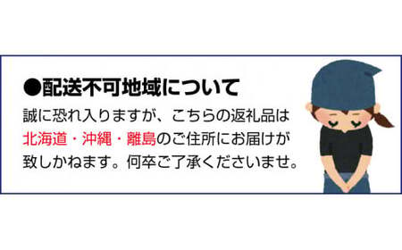 ＼光センサー選別／ 【先行予約】＼数量限定／ 希少品種 ご家庭用 ゆら早生みかん 約4kg+120g サイズ混合【nuk162】