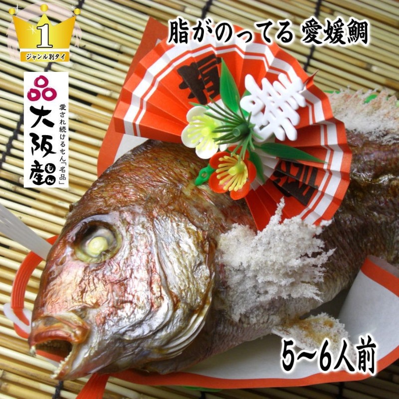 
            [№5309-0077]天然祝鯛　炭火焼　1kgアップ（愛媛活け鯛）
          