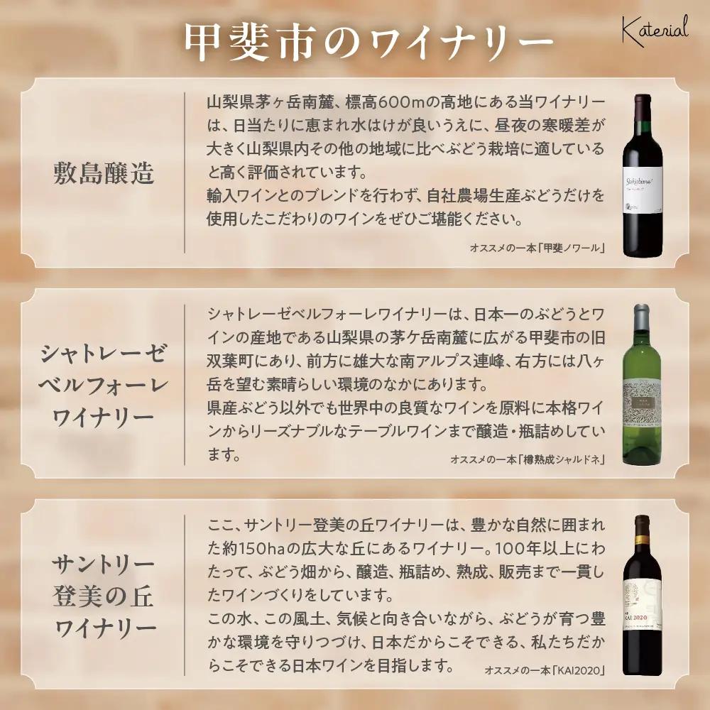 赤ワイン飲み比べ3本セット 山梨  ワイン 赤ワイン 
