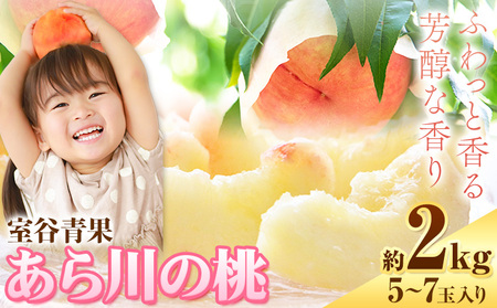 【予約受付】 あら川の桃 約2kg 5-7玉 室谷青果 《2026年6月下旬-7月中旬頃出荷》 