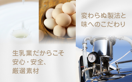 プリン3p 6個セット プリン 中央製乳