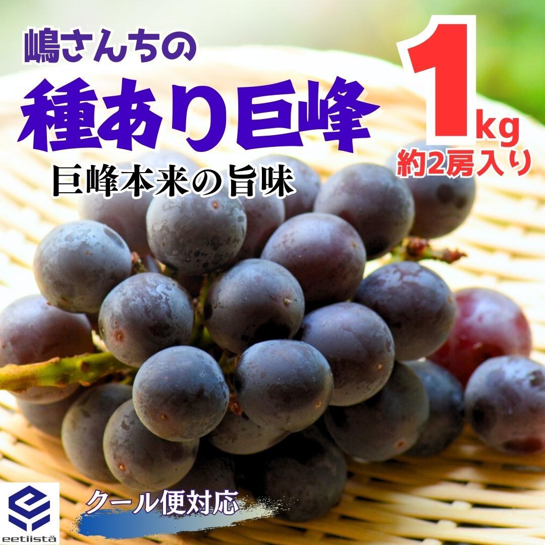 種あり巨峰 1kg ( 約1～3房入 ) 和歌山県産 産地直送 クール便対応