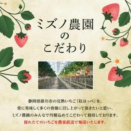 【2027年1月上旬以降】静岡県掛川市産　ミズノ農園の完熟いちご　『紅ほっぺ』約280g×4パック【配送不可地域：離島・北海道・沖縄県・四国・九州】【1738929】