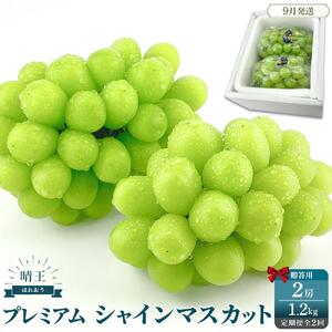 2026年予約受付中  プレミアム　シャインマスカット　晴王 2房約1.2kg　2回　定期便　9月・10月に1回ずつお届け【シャインマスカット マスカット ぶどう 葡萄 岡山県産 赤秀品  種無し 皮ごと食べる みずみずしい 9月～10月お届け フレッシュ　晴れの国おかやま 果物大国　贈答品 彩美菜果 岡山県 岡山市 おすすめ 人気 】