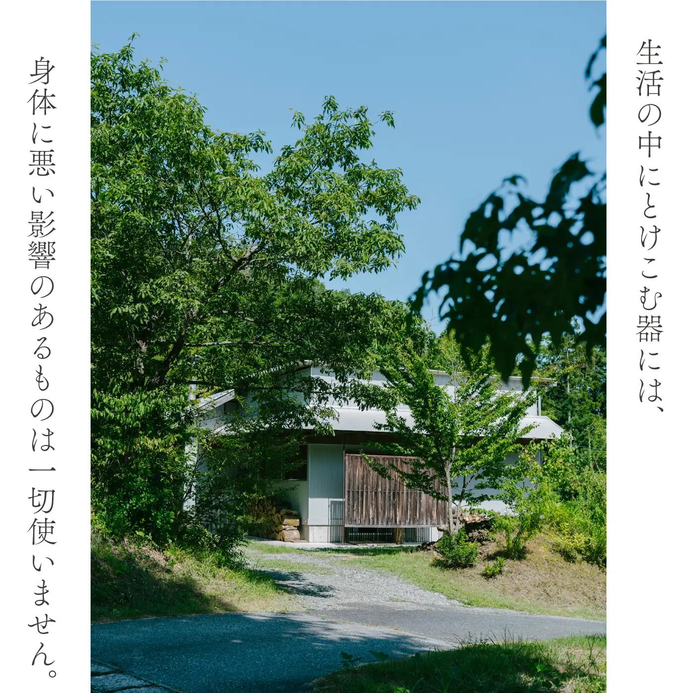 放物型カップ ：若苗釉(薄緑ツヤ)