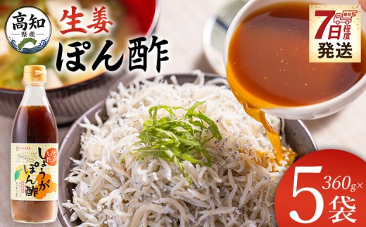 
                  【高知】ぽん酢 生姜 360ml×5本 【7日程度で発送】生姜 ジンジャー ぽん酢 ポン酢 柚子 ゆず ドレッシング 料理 調味料 和食 辛味 風味 手軽 便利 刻み生姜 国産 特産品 黄金しょうが しょうが ショウガ 高知県産 坂田信夫商店 高知県 香南市 常温 ポン酢 高知 Xnb-0016
                