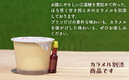 手造りプリン6個セット／冷蔵 ネッカ牛乳 ネッカ卵 蒸しプリン ソース別 牧場 スイーツ おいしい ご褒美 おやつ 牧場 搾りたて グルメ お土産 自宅用 ギフト 贈り物 島根県 安来市【06-WB-