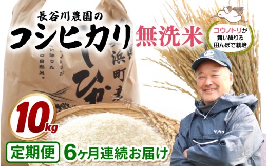 【令和8年産】定期便 ≪6ヶ月連続お届け≫長谷川農園の コシヒカリ 無洗米 10kg × 6回 (計60kg) 【お米 こしひかり 10キロ 精米 ブランド米 ふるさと納税米 産地直送】 [m22-l002]