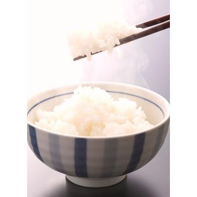 ふるさと納税 由良町 【令和7年産】和歌山県産キヌヒカリ　10kg |  | 01